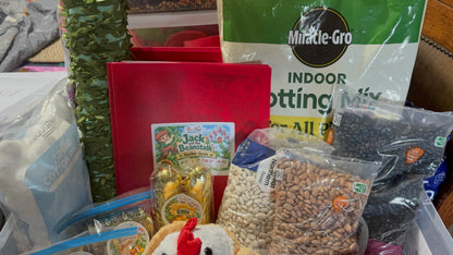 Live the Story: Sensory and Dramatic Play Bin