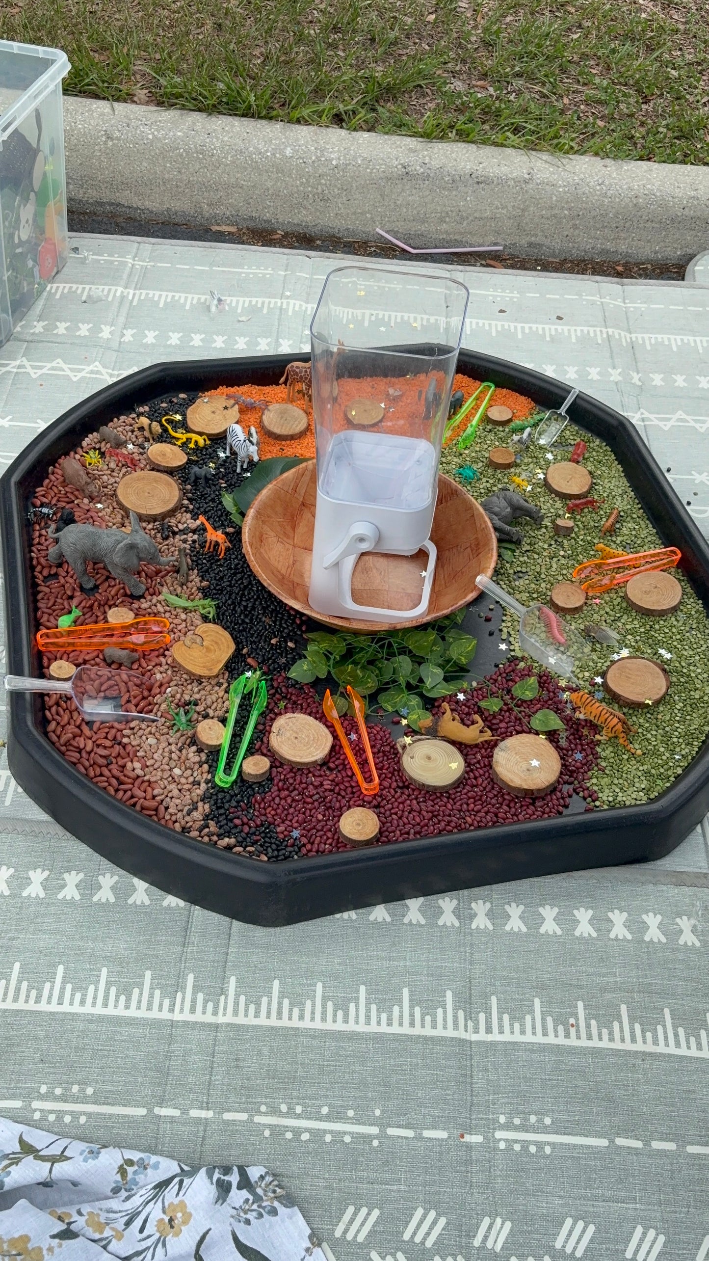 Small Group Play Bins