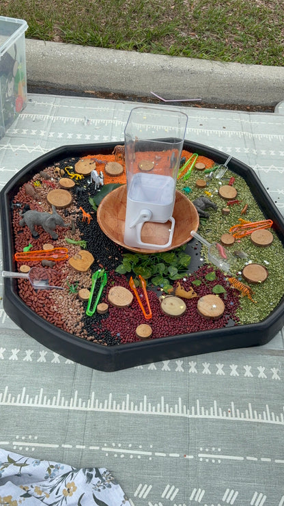 Small Group Play Bins
