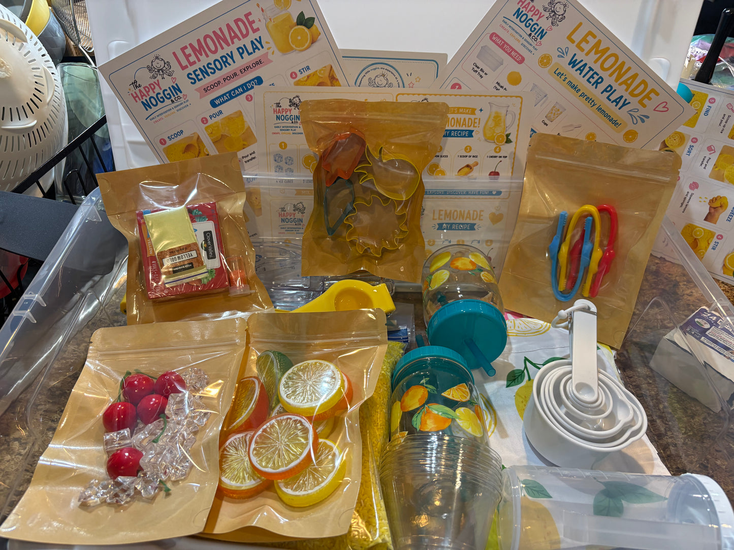 Small Group Play Bins
