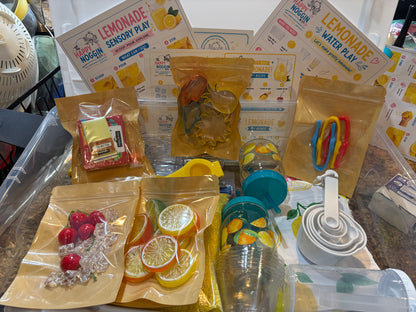 Small Group Play Bins