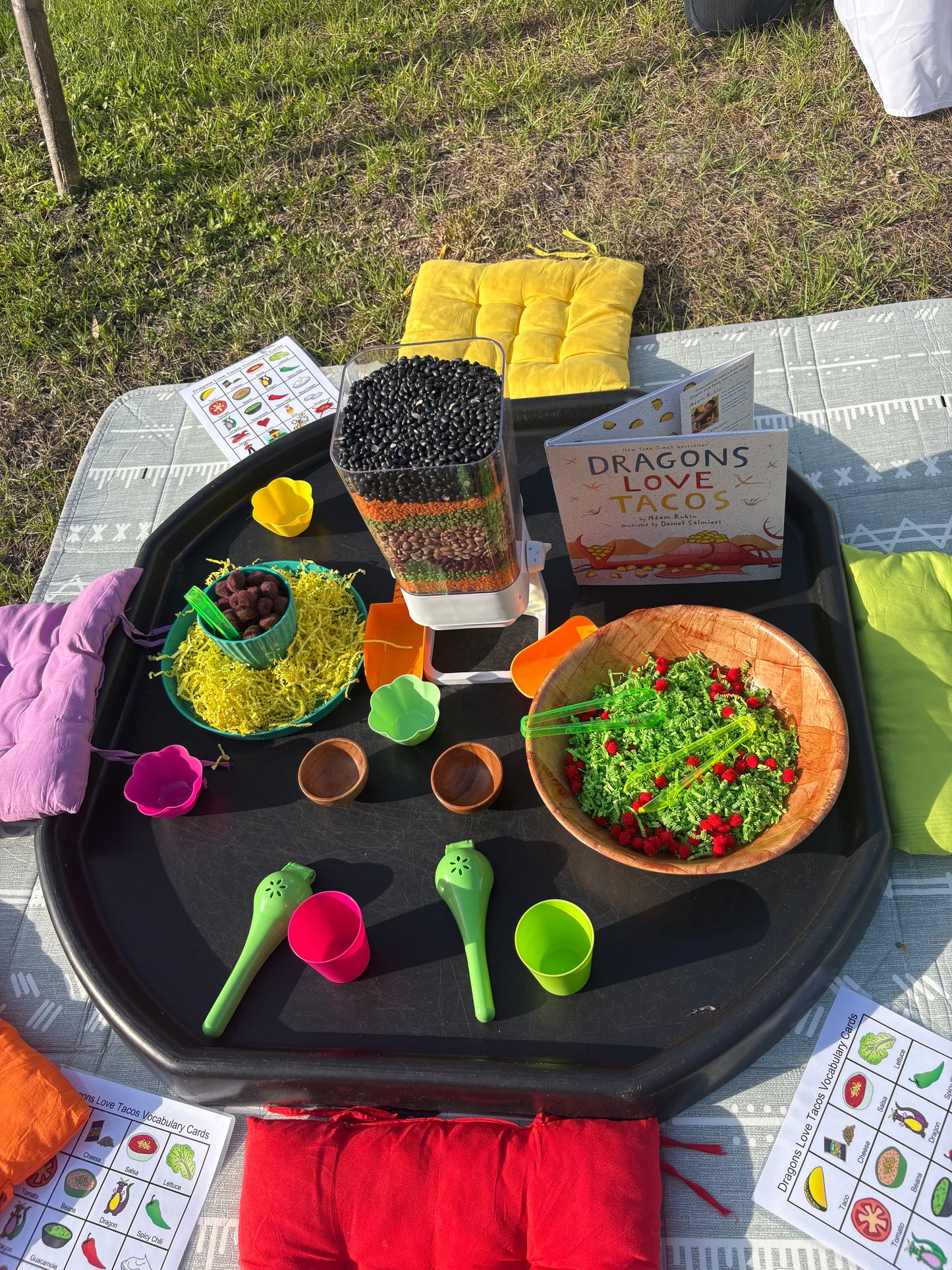 Small Group Play Bins