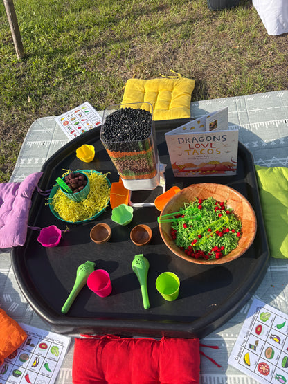 Small Group Play Bins