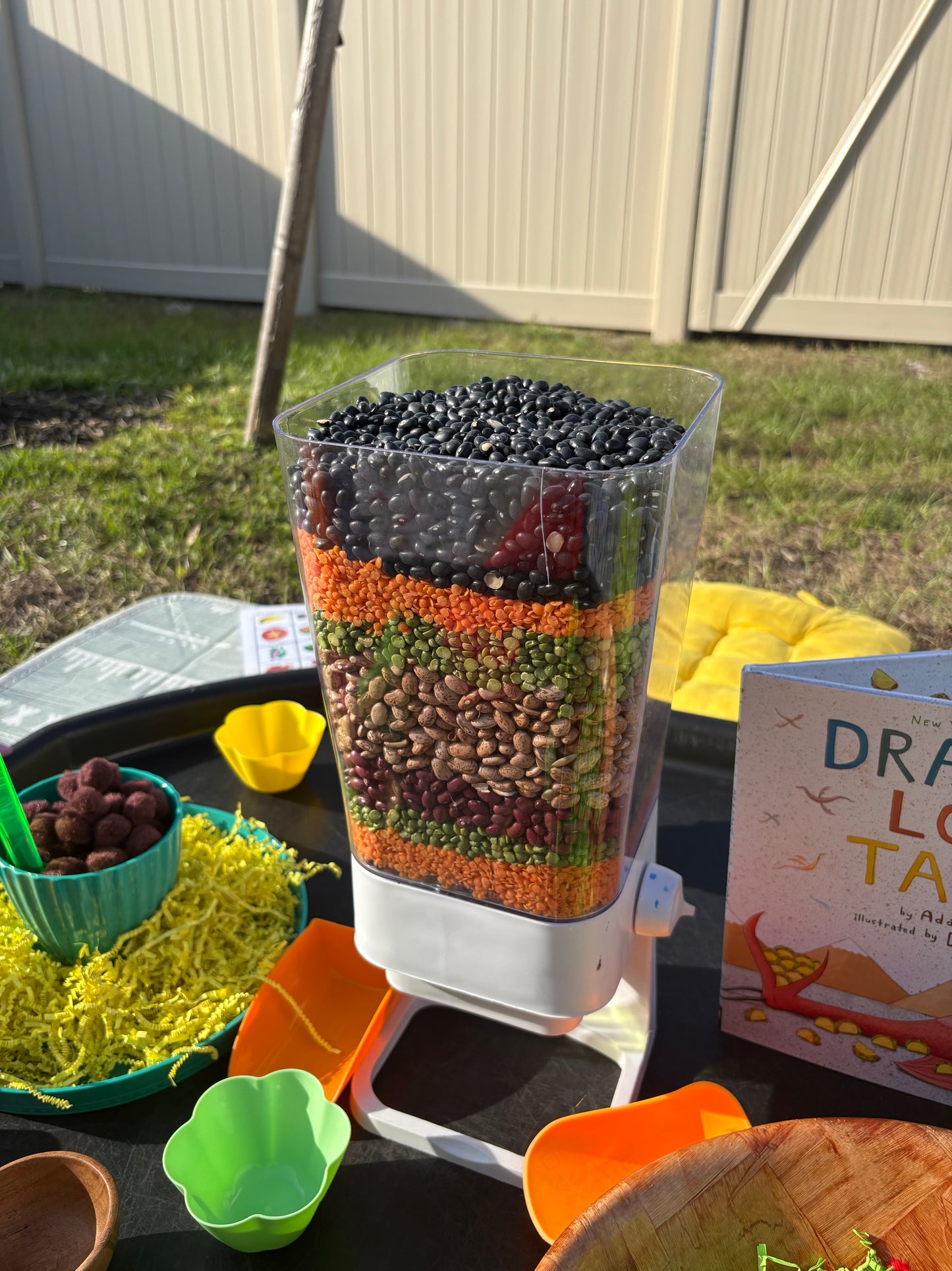 Small Group Play Bins